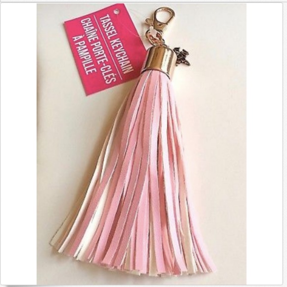 RN Caduceus Nursing Keychain Purse Charm Tassel Nurse Graduation Gift Zipper - Picture 2 of 8